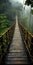 The Enchanting Wooden Bridge In A Foggy Green Jungle