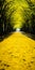 The Enchanting Yellow Flower Path: A Dreamlike Mote Kei Installation