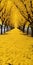 Enchanting Yellow Leaf Pathway: A Candy-coated Journey Of Beauty