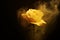 Enchanting Yellow Rose in Mysterious Atmosphere