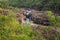 Encontro das Aguas in Chapada dos Veadeiros