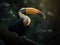 Encounter with the Great Indian Hornbill in the Rainforest