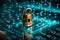 Encryption reinforces cybersecurity, safeguarding user privacy