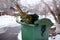 End of Christmas. Used and abandoned cutted fir tree in garbage bin waits for collection by by garbage truck