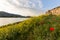 End of the day on the banks of the Rhone with a view of the cliffs of Donzere, France