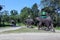 End of the day`s safari. The elephants are going back to their stable.