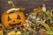 End of Halloween, moldy pumpkin. Remembering Halloween. Head carved from a pumpkin on Halloween.