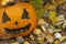 End of Halloween, moldy pumpkin. Remembering Halloween. Head carved from a pumpkin on Halloween.