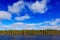 End of summer landscape from Finland. Pine forest coast with lake ans dark blue sky with white clouds. Beautiful scenery from