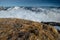 End of winter in Carpathian mountains. Brown grass on the edge of mountains