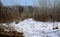 At the end of winter, a path covered with snow leads to a sleeping forest.