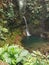 Endah Cave Waterfall at Mount Halimun Salak National Park.