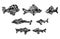 Endangered ancient fish set. Hand drawn animal prints graphic vector illustration, black isolated on white background painted by