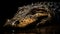 Endangered Nile crocodile teeth in focus, close up of animal head generated by AI