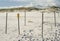 Endangered Sea Turtle Nest Protection at Florida Beach