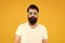 Endearing geekiness. Bearded man yellow background. Serious man wear glasses in hipster style. Caucasian man with