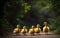 The Endearing Journey of Mother Duck and Ducklings in Nature\\\'s Classroom