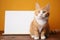 Endearing orange tabby poses with blank whiteboard, a playful feline