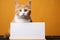 Endearing orange tabby poses with blank whiteboard, a playful feline