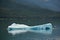 Endicott Arm, Alaska: A brilliant aqua-colored iceberg that has calved off of the Dawes Glacier