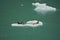 Endicott Arm, Alaska: Seals resting on an iceberg