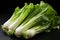 Endive on black background