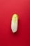 Endive chicory root salad on red background