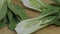 Endives on a wooden cutting board Cichorium intybus. Fresh chicories
