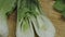 Endives on a wooden cutting board Cichorium intybus. Fresh chicories