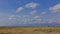 The endless African savannah with yellow grass stretches to the horizon.