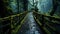 An endless bridge leading into the depths of the forest, like a road to mysterious w