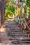 Endless curved wooden logs steps with crossed logs railings in the forest of Numana surroundings in Italy