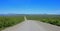 Endless Dempster Highway near the arctic circle, Canada