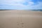 Endless desert beach with blue sky and sunny weather, Camargue, France