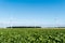 Endless farm fields with green and yellow crops and wind farm turbines under a blue sky