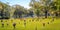 Endless Field of Flower Dedications at Cemetery