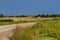 Endless grain fields. Country landscape. Country road in the middle of fields