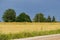 Endless grain fields. Country landscape. Country road in the middle of fields.A thunderstorm is approaching