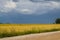 Endless grain fields. Country landscape. Country road in the middle of fields.A thunderstorm is approaching