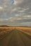 An endless gravel road stretching through the golden landscape