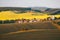 Endless green fields, rolling hills, tractor tracks, spring land