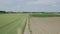 Endless greens: aerial view of road amidst spring fields