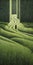 Endless Lawn: A Calming Symmetry Of Trompe-l\\\'oeil Field Painting
