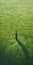 Endless Lawn: A Captivating Optical Illusion Painting By Charles Angrand