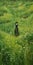 Endless Lawn: A Girl In A Field With Daisies