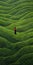 Endless Lawn: A Mind-bending Painting Of A Person Amidst Green Mountains