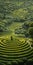 Endless Lawn: A Quint Buchholz Inspired Painting Of A Green Field In A Maze