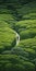 Endless Lawn: A Whimsical Painting Of A Man Walking Through Green Hedges