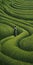 Endless Lawn: A Woman Walking In An Abstract Green Field