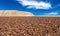 Endless life hostile plant free dry barren arid desert landscape, surface of brown salt flat crust, bare white mountain - Salar de